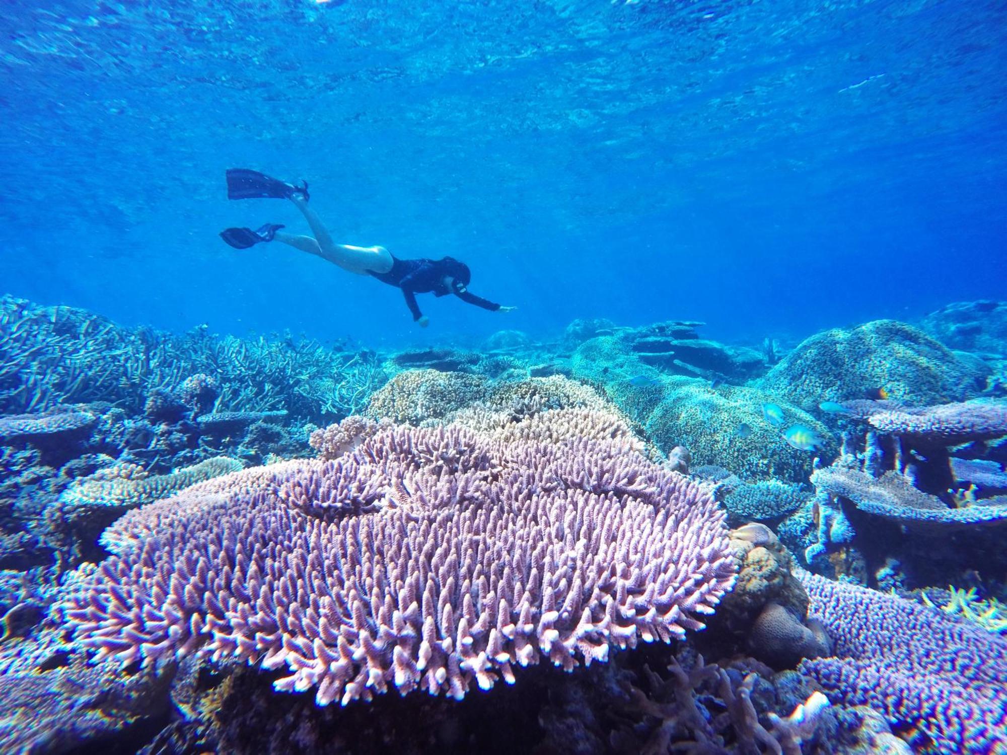Bolilanga Island Resort - Togean Island Angkayo Esterno foto